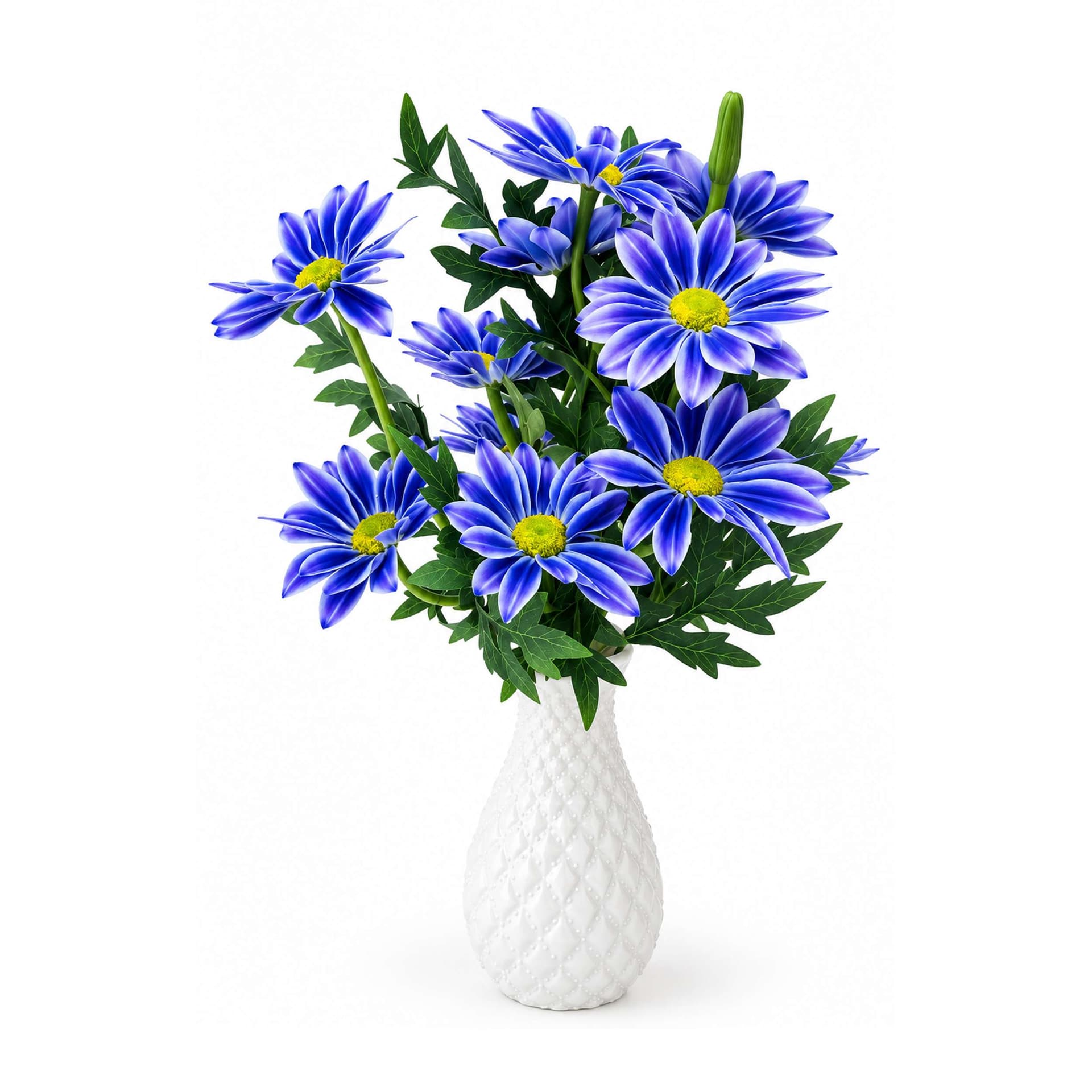 Blue Zinia Flower with Tub