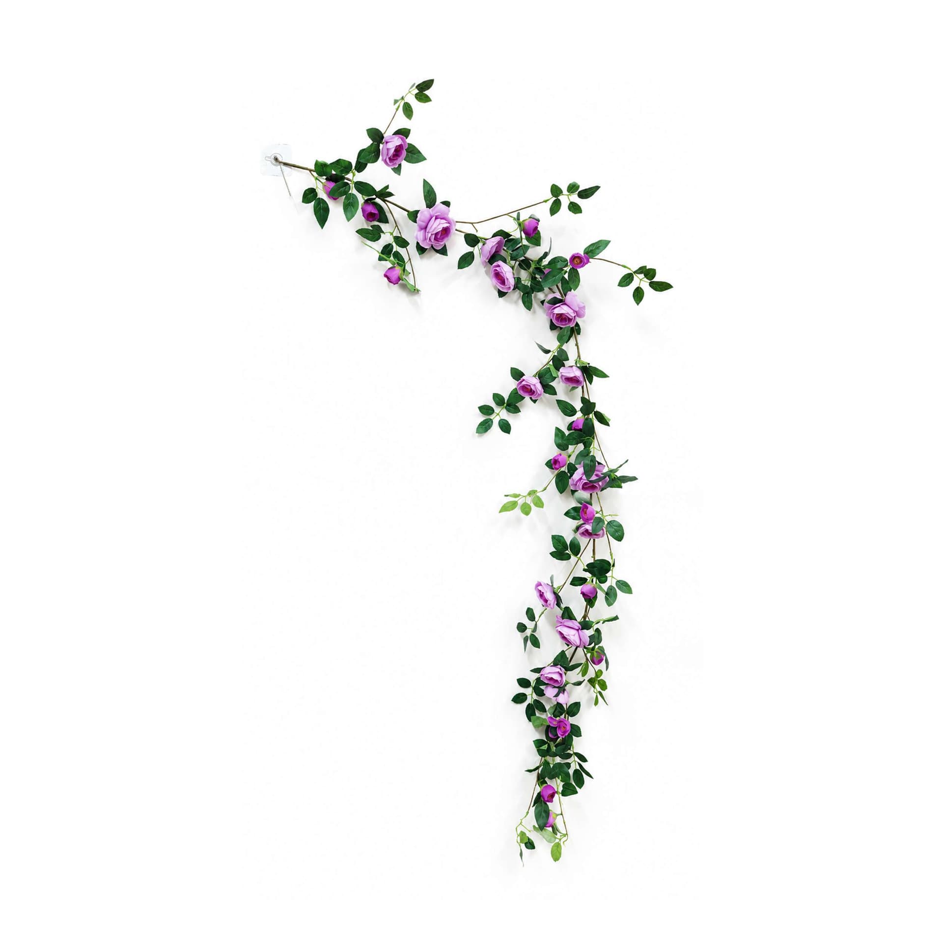 Purpel color rose vine