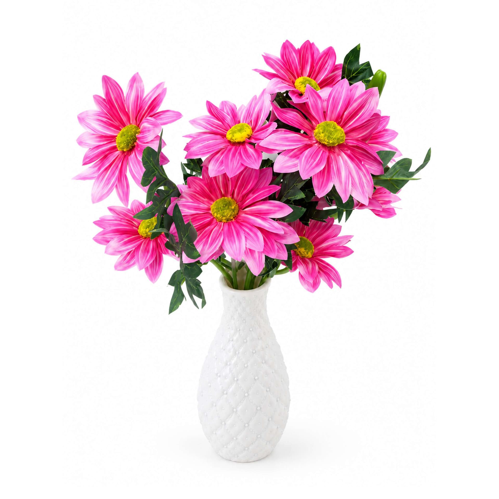 Deep Pink Zinnia Flower with Tub