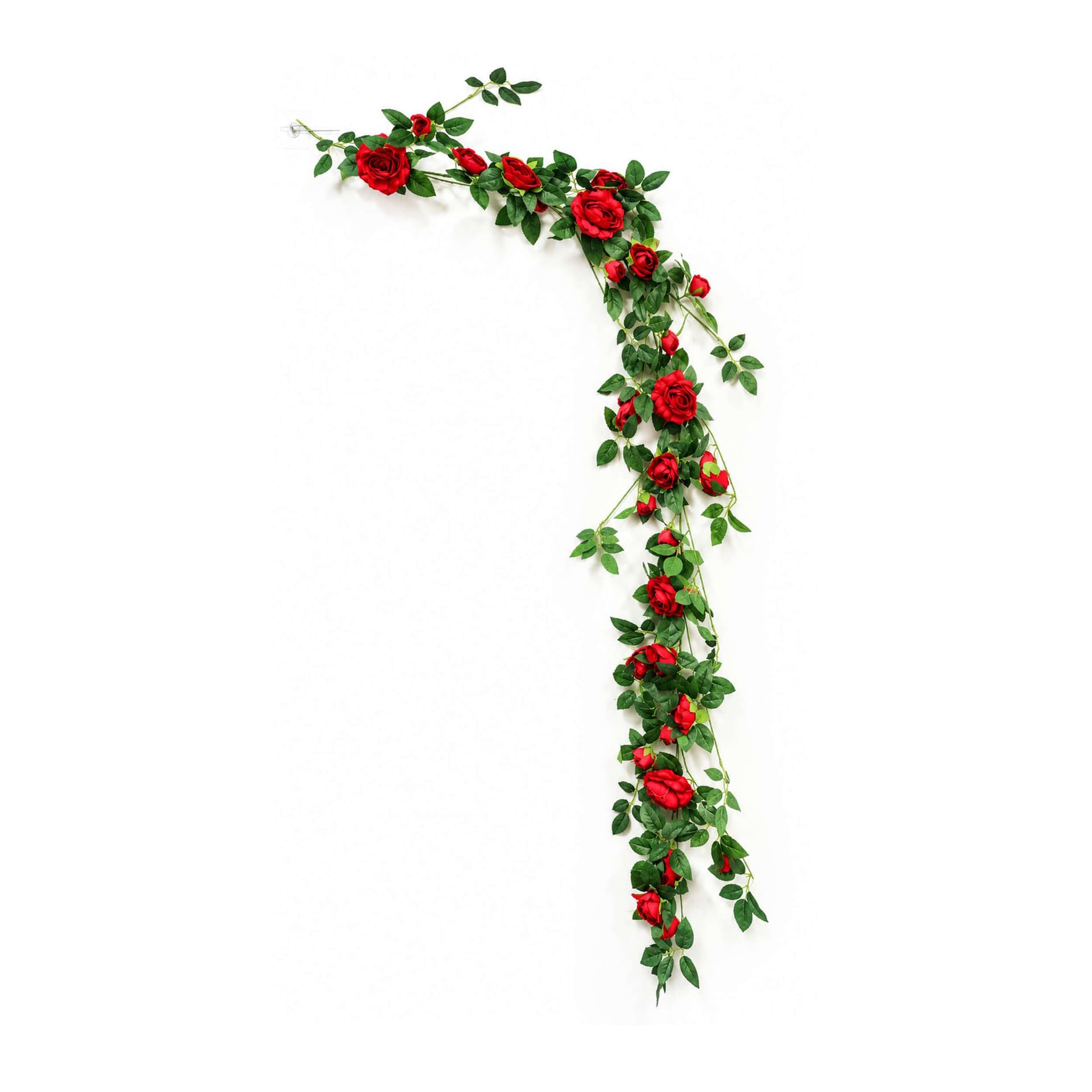 Red Rose Vine