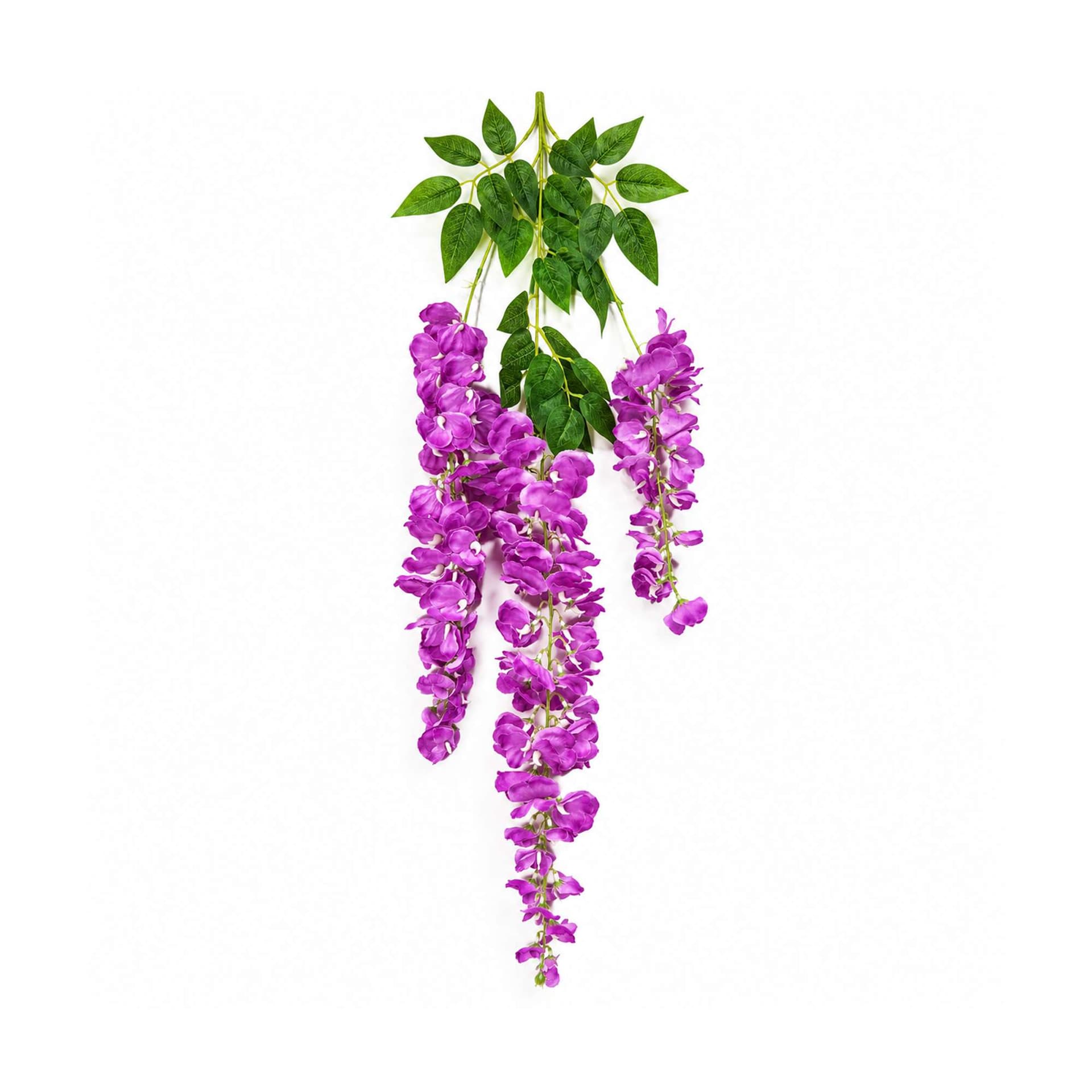 Westeria Jhar