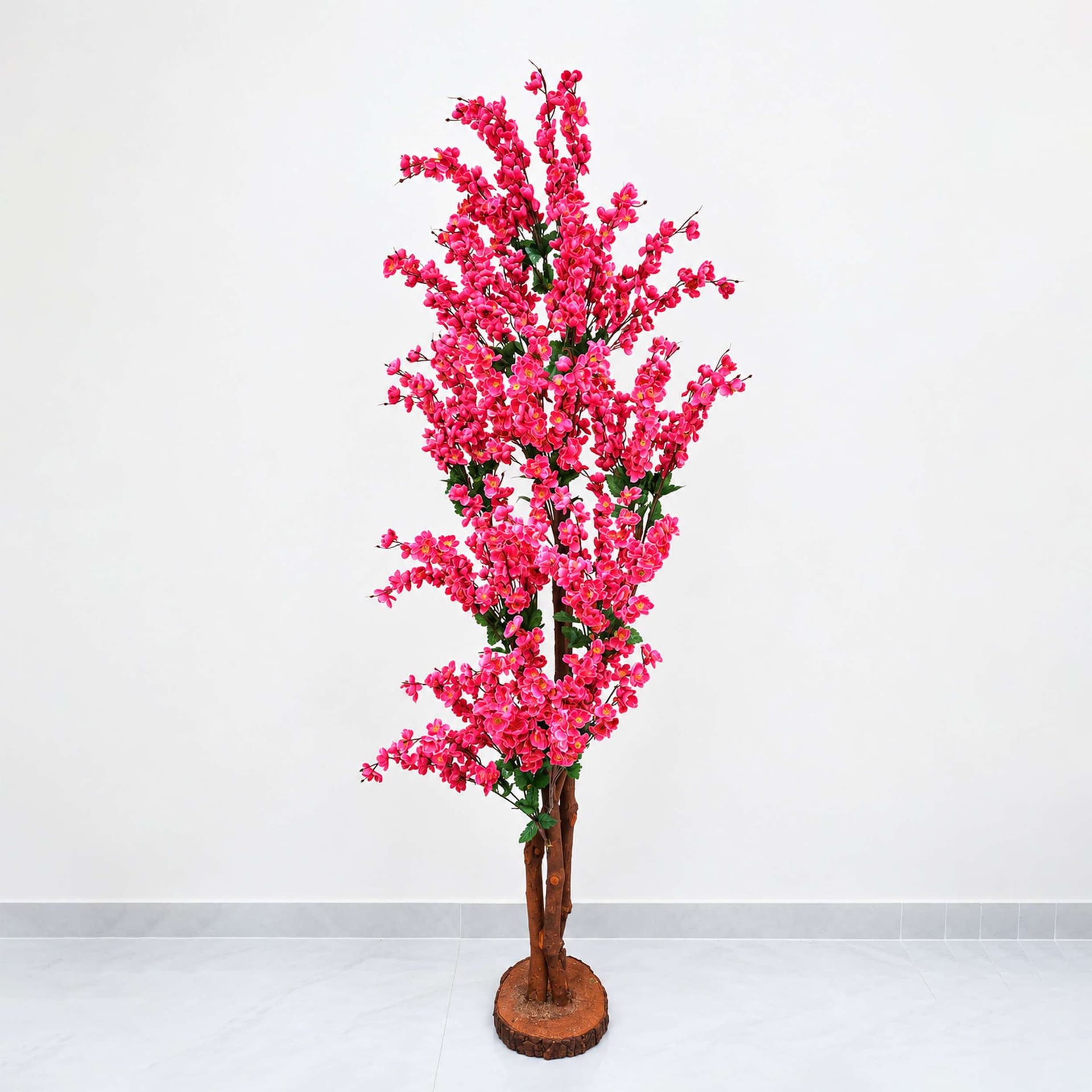 Premium Cherry Flower Plant 6 Feet
