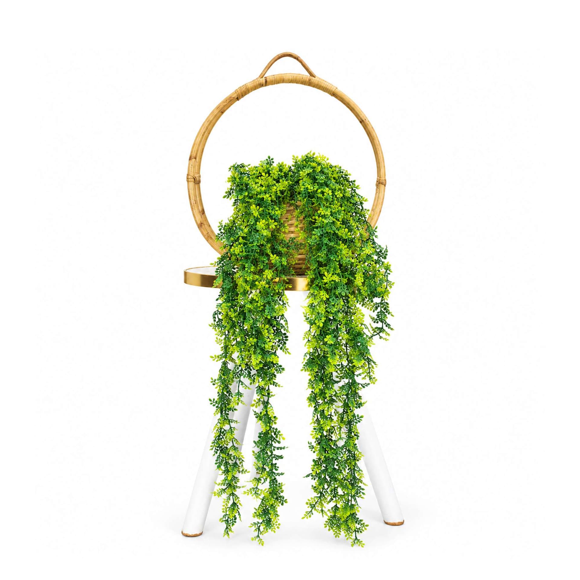 Beter Ring Holder With Tetul Jhar