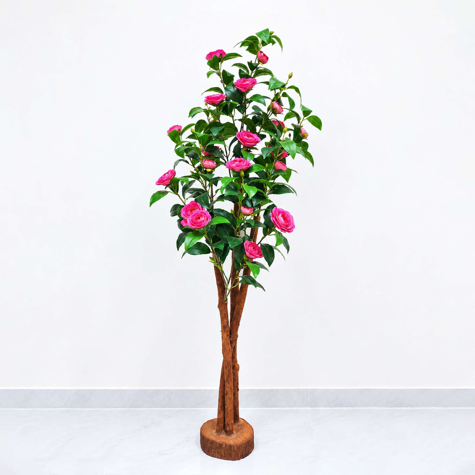 Camelia Plant Pink Color Flower