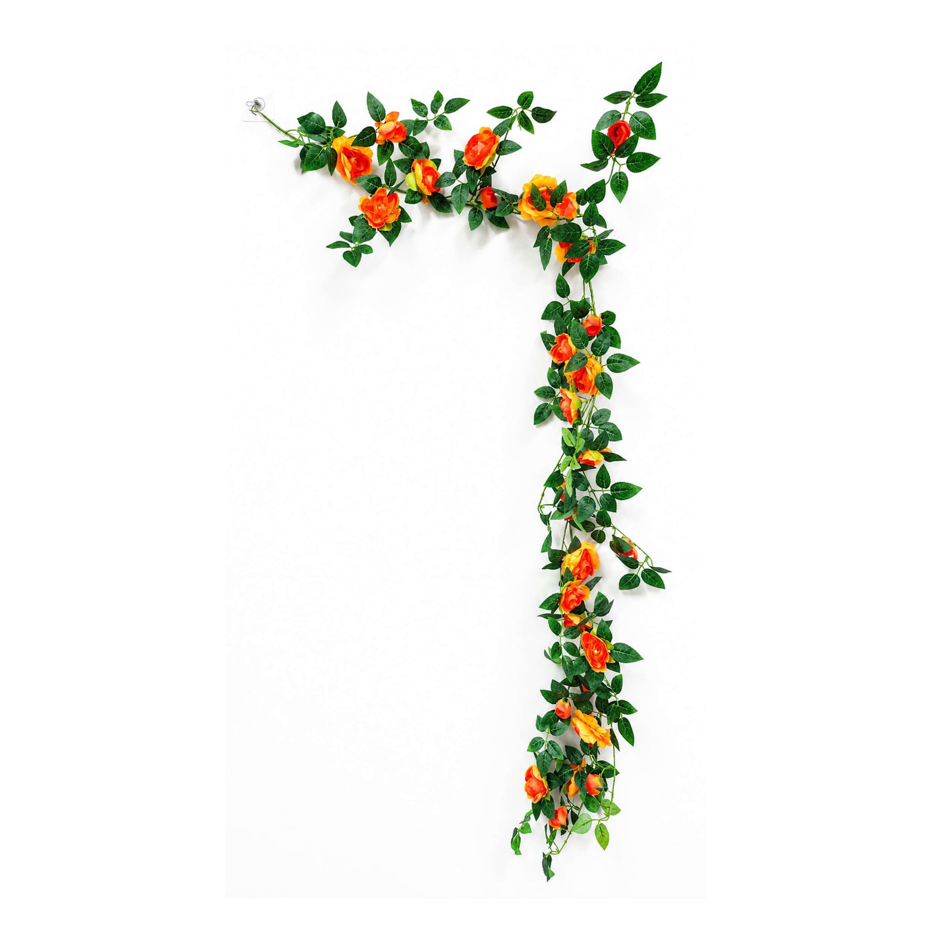Orange rose vine